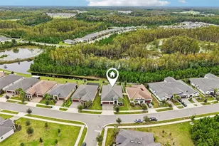 17022 Forge Surf St, Land O Lakes, FL 34638 - Photo 50