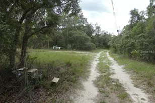 12122 Seiffert Rd, Hudson, FL 34667 - Photo 4
