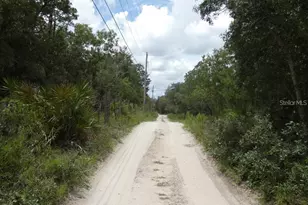 12122 Seiffert Rd, Hudson, FL 34667 - Photo 6