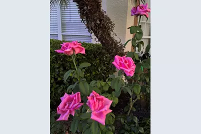 30702 Iverson Drive, Wesley Chapel, FL 33543 - Photo 24