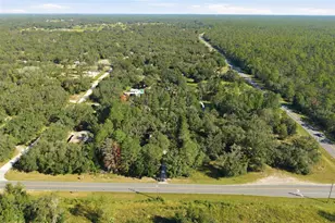 1181 W Cardinal St, Lecanto, FL 34461 - Photo 40