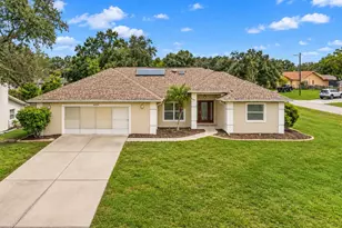 13329 Mitten Ln, Spring Hill, FL 34609 - Photo 1