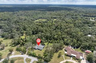 11211 Pine Forest Dr, New Port Richey, FL 34654 - Photo 8