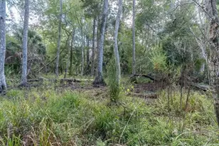 11211 Pine Forest Dr, New Port Richey, FL 34654 - Photo 44
