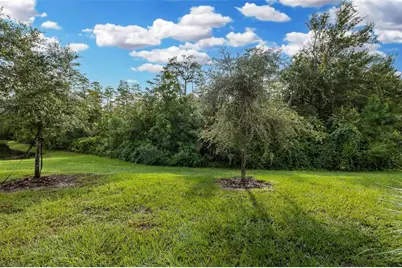 11166 Crescent Deer Drive, Land O Lakes, FL 34638 - Photo 10