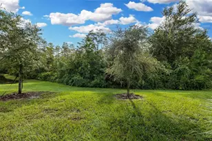 11166 Crescent Deer Dr, Land O Lakes, FL 34638 - Photo 10