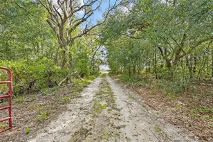 6101 S Nutshell Terrace, Lecanto, FL 34461 - Photo 30
