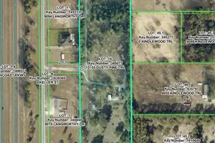 15155 Dusty Pine Trail, Brooksville, FL 34613 - Photo 10