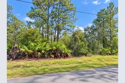 13052 Jaywalk Road, Weeki Wachee, FL 34614 - Photo 8