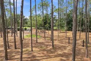 6694 Pin Oak Ct, Spring Hill, FL 34606 - Photo 100