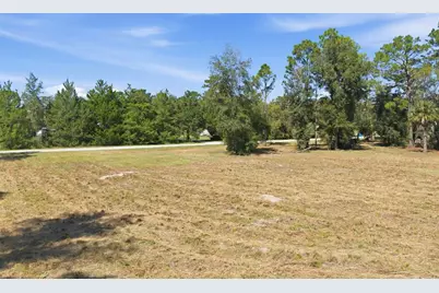 14356 Highgrove Road, Spring Hill, FL 34609 - Photo 30