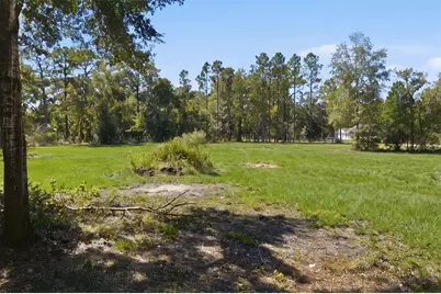 14356 Highgrove Road, Spring Hill, FL 34609 - Photo 16
