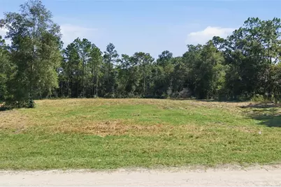 14356 Highgrove Road, Spring Hill, FL 34609 - Photo 24