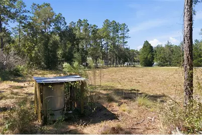 14356 Highgrove Road, Spring Hill, FL 34609 - Photo 32