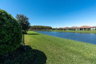 11149 Egeria Dr, Odessa, FL 33556 - Photo 44