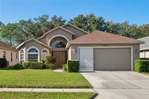 11602 McLeod St, Spring Hill, FL 34609 - Photo 1