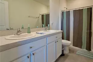 33075 Frosted Clover Wy, Wesley Chapel, FL 33545 - Photo 16