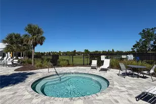 33075 Frosted Clover Wy, Wesley Chapel, FL 33545 - Photo 40