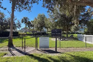 33075 Frosted Clover Wy, Wesley Chapel, FL 33545 - Photo 34