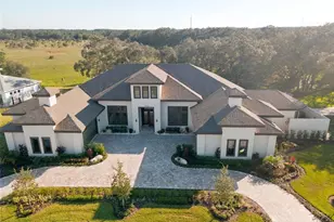 12820 Seronera Valley Ct, Spring Hill, FL 34610 - Photo 4