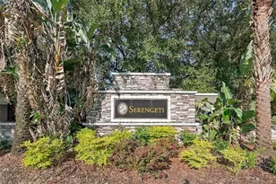 12820 Seronera Valley Ct, Spring Hill, FL 34610 - Photo 100