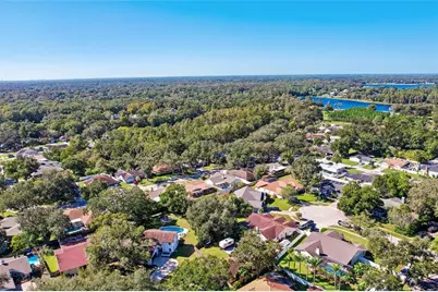 18410 Sterling Silver Circle, Lutz, FL 33549 - Photo 54