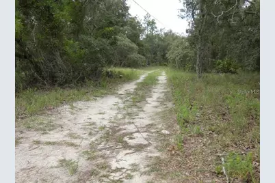 12122 Seiffert Road, Hudson, FL 34667 - Photo 4