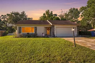10048 Amidon St, Spring Hill, FL 34608 - Photo 1