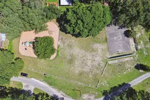 1922 Beachway Ln, Odessa, FL 33556 - Photo 44