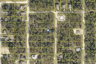 Lot 18 English Parrot Rd, Weeki Wachee, FL 34614 - Photo 1