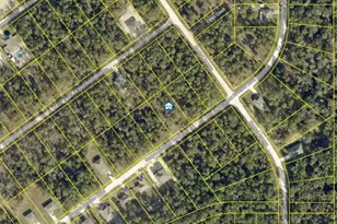 Lot 28 Canyon Swallow Rd, Weeki Wachee, FL 34614 - Photo 1