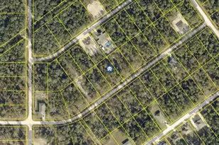 Lot 20 Resort Ave, Weeki Wachee, FL 34614 - Photo 1