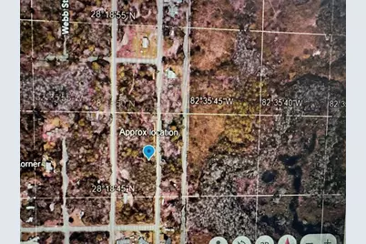 Evergreen Street, New Port Richey, FL 34654 - Photo 1