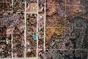 Evergreen St, New Port Richey, FL 34654 - Photo 1