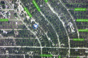 510 Blue Skies Dr, Lake Placid, FL 33852 - Photo 1