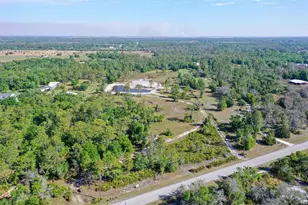 5382 Wauchula Rd, Myakka City, FL 34251 - Photo 1