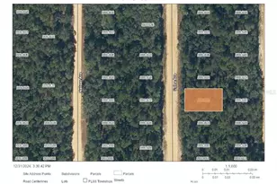 Usina Ave, Interlachen, FL 32148 - Photo 1