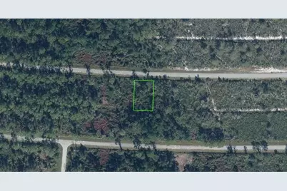 7349 Happyface Street, Sebring, FL 33872 - Photo 1