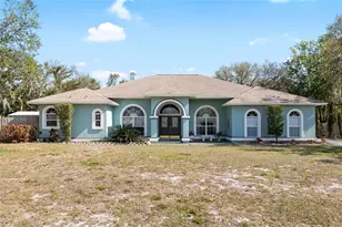 12103 Shadow Run Blvd, Riverview, FL 33569 - Photo 1