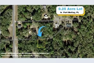 Tbd NE 141st Lane, Fort Mc Coy, FL 32134 - Photo 1