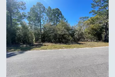 Lot 17 Malauka Loop, Ocklawaha, FL 32179 - Photo 1