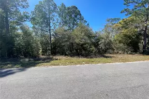 Lot 17 Malauka Loop, Ocklawaha, FL 32179 - Photo 1