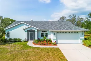 10001 289th St E, Myakka City, FL 34251 - Photo 1