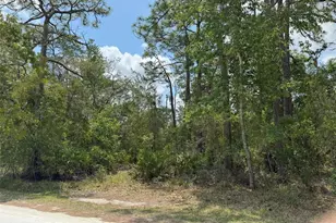 Lot 55 Nakoma Way, Brooksville, FL 34613 - Photo 1