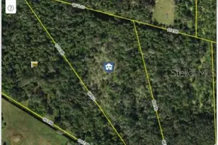 Letitia Ln, Sarasota, FL 34241 - Photo 1