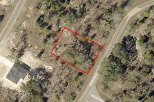 9038-1243-22 Fisher Ln Way, Ocklawaha, FL 32179 - Photo 1