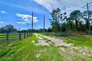 434 Cr-665, Ona, FL 33865 - Photo 1