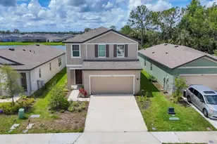 10611 Ladybug Cv, Parrish, FL 34219 - Photo 1