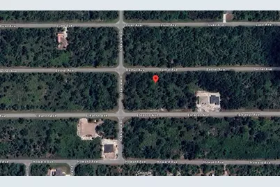 14161 Bethel Avenue, Port Charlotte, FL 33953 - Photo 1