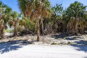 72 Palm Dr, Placida, FL 33946 - Photo 1